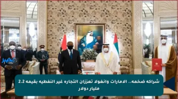 شراكة ضخمة.. الإمارات وأنغولا تعززان التجارة غير النفطية بقيمة 2.2 مليار دولار